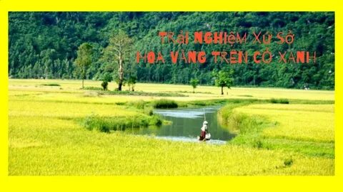 Hotspot Matrix và Xuất hiện phim Việt dở nhất 2025, netizen than trời “để tiền ăn bát phở_video phỏng vấn khách hàng