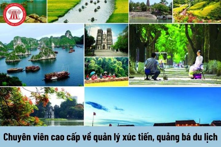 Hotspot Matrix: Hành trình chinh phục đỉnh cao video ngắn