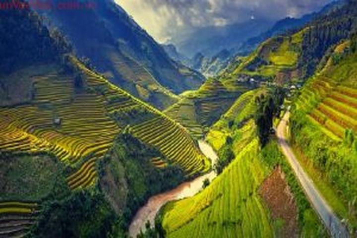 Xu hướng Angela Phương Trinh dẫn đầu: Hotspot Matrix tiết lộ bí quyết video viral