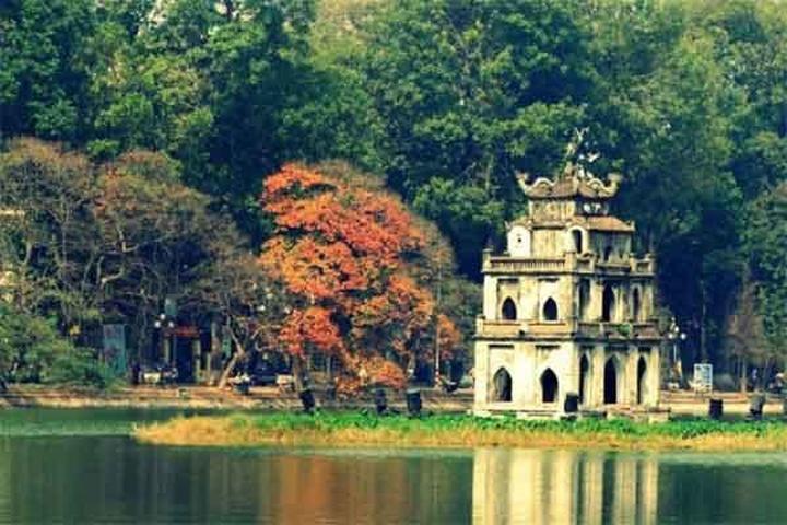 Kích thước to bất thường: Tôm nuôi theo phương pháp tự nhiên sẽ có kích thước không
