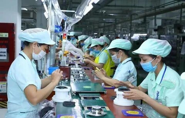 Loại cá được khen