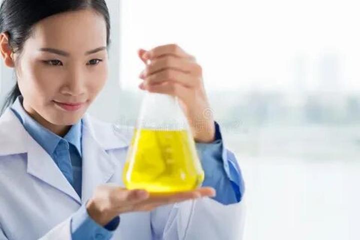 Bonobo: Nguồn Gốc Tiến Hóa Của Ngôn Ngữ Con Người?