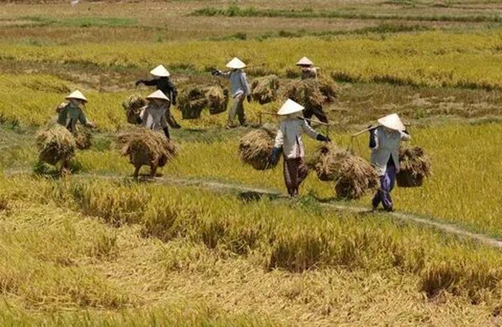 Hotspot Matrix: Đòn bẩy tiếp cận học sinh và phụ huynh cho chuyên gia tư vấn du học